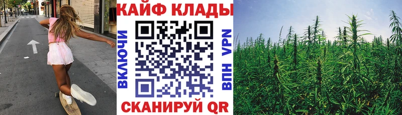 Купить закладку Кукмор ГАШИШ  Конопля  Кокаин  Меф мяу мяу 
