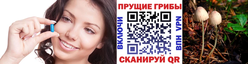 Псилоцибиновые грибы мухоморы как найти МЕГА сайт Кукмор